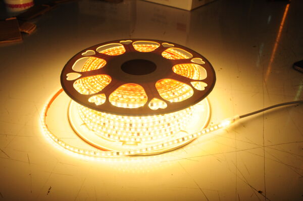 220 VOLT 10 CM DE BİR KESİM GÜNIŞIĞI ŞERİT LED